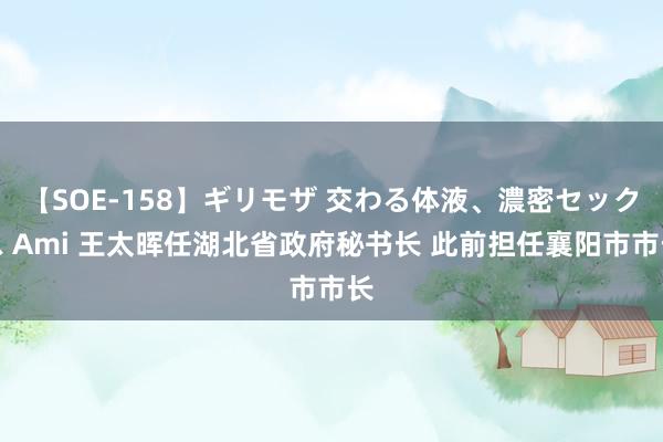 【SOE-158】ギリモザ 交わる体液、濃密セックス Ami 王太晖任湖北省政府秘书长 此前担任襄阳市市长