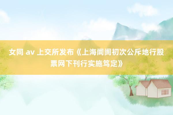 女同 av 上交所发布《上海阛阓初次公斥地行股票网下刊行实施笃定》