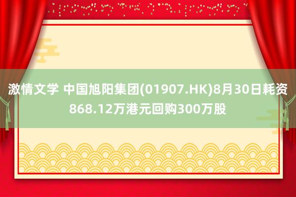 激情文学 中国旭阳集团(01907.HK)8月30日耗资868.12万港元回购300万股