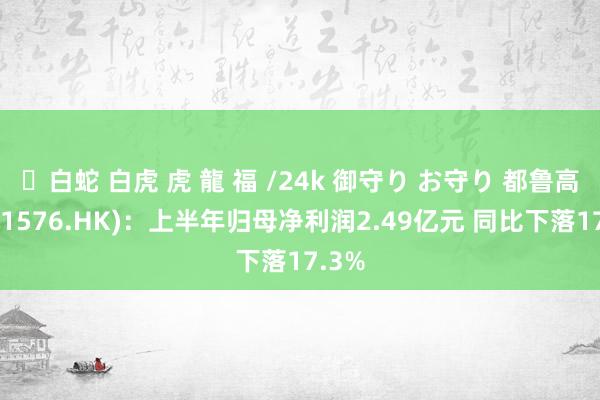 ✨白蛇 白虎 虎 龍 福 /24k 御守り お守り 都鲁高速(01576.HK)：上半年归母净利润2.49亿元 同比下落17.3%