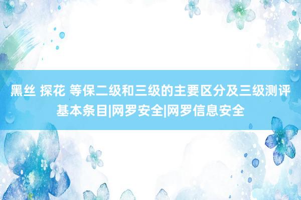 黑丝 探花 等保二级和三级的主要区分及三级测评基本条目|网罗安全|网罗信息安全