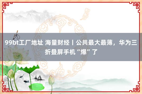 99bt工厂地址 海量财经丨公共最大最薄，华为三折叠屏手机“爆”了