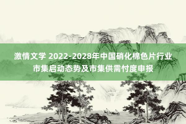 激情文学 2022-2028年中国硝化棉色片行业市集启动态势及市集供需忖度申报