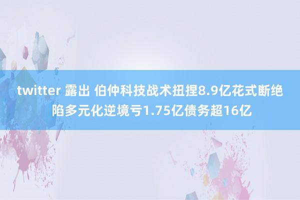 twitter 露出 伯仲科技战术扭捏8.9亿花式断绝 陷多元化逆境亏1.75亿债务超16亿