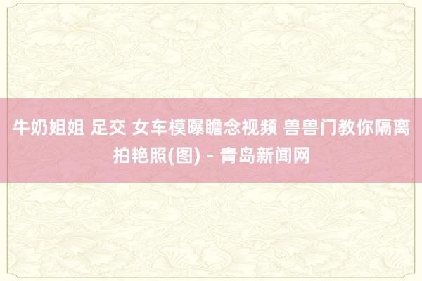 牛奶姐姐 足交 女车模曝瞻念视频 兽兽门教你隔离拍艳照(图)－青岛新闻网