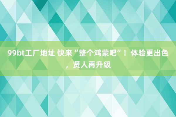 99bt工厂地址 快来“整个鸿蒙吧”！体验更出色，贤人再升级